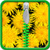 Dandelion Zipper Lock Screen Free