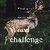 Word challenge brain game