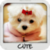 Cute Wallpapers by Nisavac Wallpapers