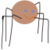 Spider adventures