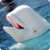 Whales : Ocean Wild Animals