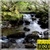 Nature Video Live Wallpaper