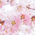 Sakura Live Wallpapers Free