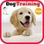 Training for Dog