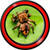 Spider Live Wallpapers Free