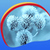 Winter Flowers Live Wallpapers