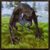 Cave Monster Simulator