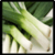 Benefits of Leek