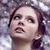 Spring Beauty Live Wallpaper