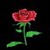 Blinking Rose