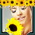 Sunflower Photo Collage