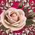 Lovely Mothers Day Photo Collage