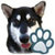 Top Dog Breeds