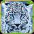 Furious Leopard Simulator