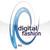 digital fashion ltd