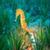 Gold Seahorse Live Wallpaper