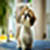 Hd Puppy wallpaper