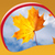 Autumn Leaves Live Wallpapers New