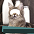 Best Animal Photo Montage