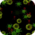 Infected Screen Live Wallpaper