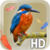 Bird Feathers LWP