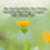 PIP Motivation Quotes App