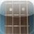 Bass Guitar