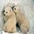 Cute Little Polar Bears Live Wallpaper