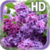 Flower Lilac Live Wallpaper