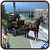 Horse Carriage Taxi