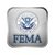Federal Emergency Management Agency