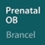 PrenatalOB (Brancel)