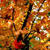 Nature Live Wallpaper 65