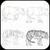 Let draw