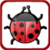 Lady Bug Tap