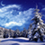 Snowy Pics Live