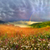 Storm Live Wallpapers Free
