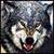 Wild Wolf Sim City Attack 3D