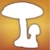 Audubon Mushrooms  A Field Guide to North American Mushrooms