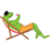 Frog Traveler