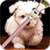 Puppy Zipper Lock Screen