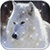 HD Wallpaper Wolf