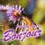 Good Morning Everyday Greetings in French