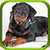 Animal Soundboard - Bring fun zoo to your hand