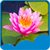 New Lotus Live Wallpapers