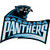 Carolina Panthers Fan