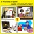 1 Pic 1 Word - Guess Word