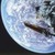 Hubble News