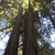 Nature Live Wallpaper 20