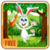 Bunny In Jungle
